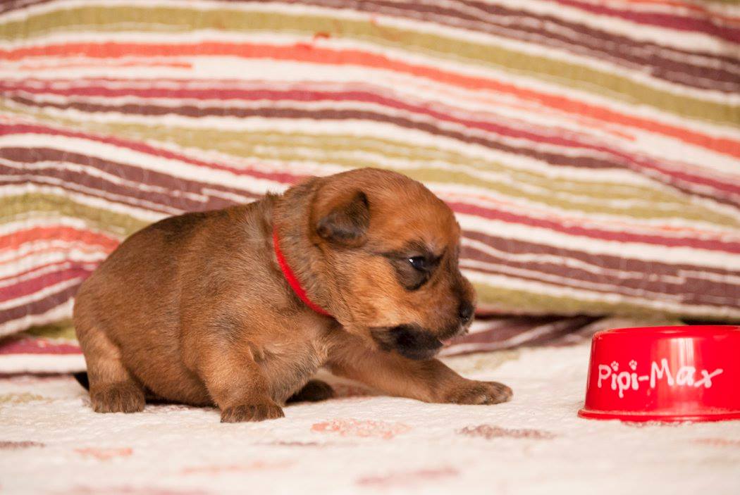 Avalon Arthur Terraloka aka Lon